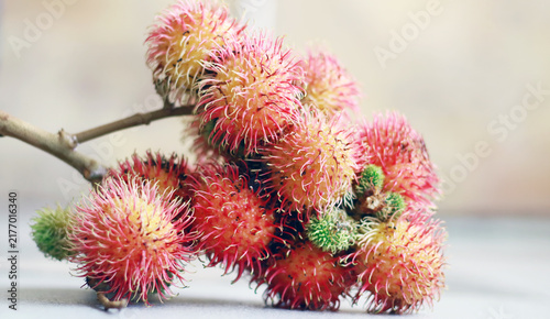 Rambutan fruit with stalk on white background.