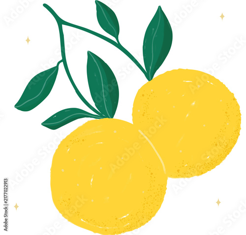 Two beautiful, bright orange oranges that still have their stems and leaves, vector illustration.