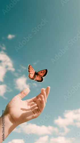 Hand releasing a beautiful orange butterfly into a blue sky with soft white clouds, symbolic nature scene representing freedom, hope, change and new beginnings
