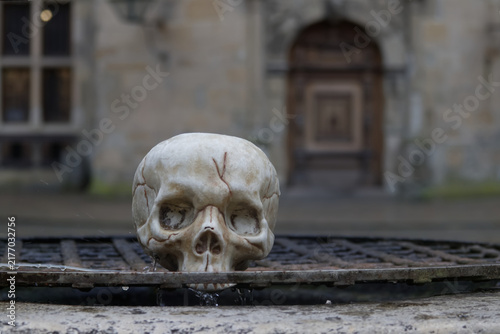 Human Skull Statue Fountain Sculpture at Kronborg Castle Courtyard
