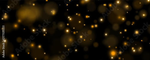 Photography Scattered glowing orbs of light appear floating against a dark background