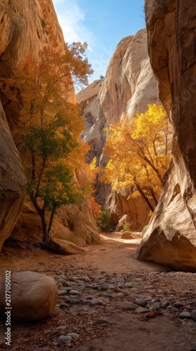 Burr Trail and fall foliage within a slot canyon