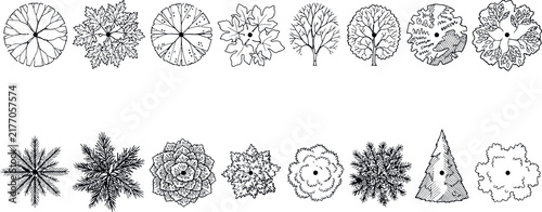 Various stylized deciduous and coniferous trees in overhead view for architectural landscape design planning