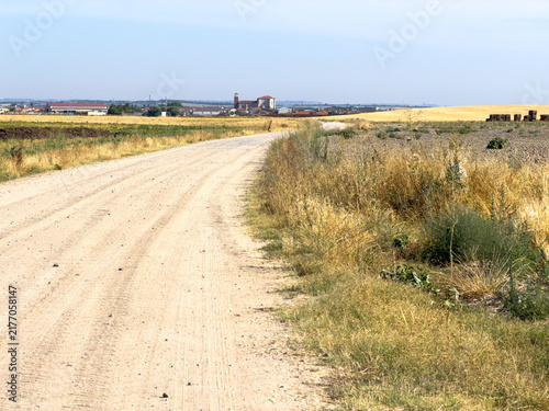 Dirt Road Through Golden Fields Toward A Small Village On A Sunny Summer Day