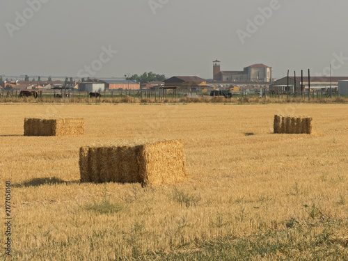 Valdestillas. Golden Hay Bales in Harvested Wheat Field With Distant Village and Church