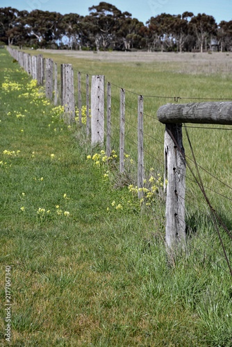 rural fence in a field