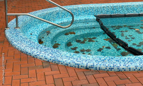 Autumn Leaves Covering Outdoor Pool Water