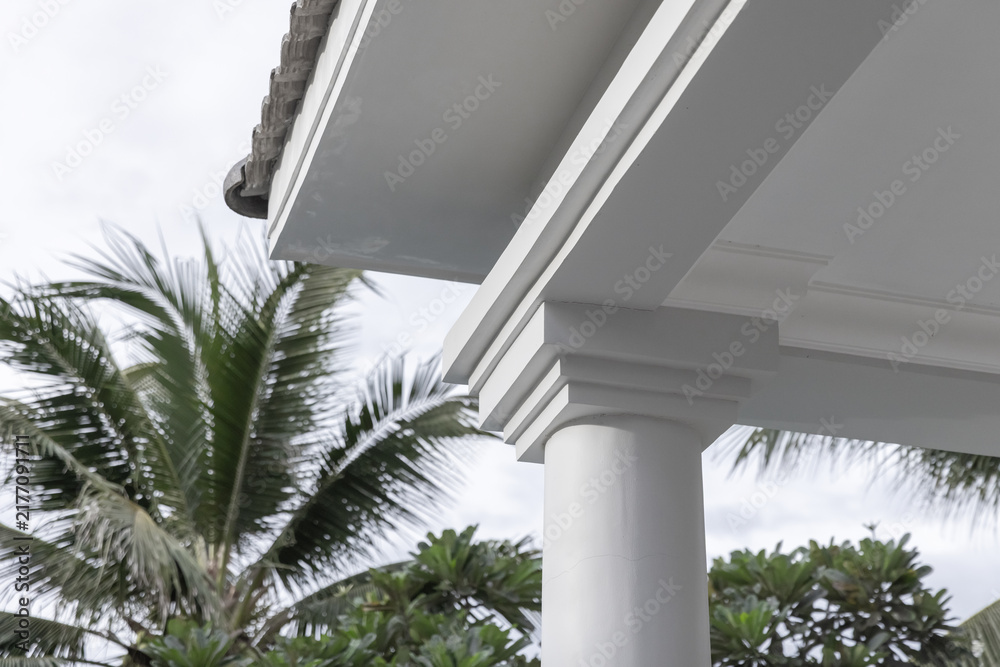 Obraz premium White classical column and porch eave framed by lush palm trees, conveying tropical coastal architecture, a relaxed resort atmosphere, elegant molding details and refined outdoor home exterior design