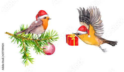 Watercolor robin-like birds on pine branches with red ornaments and a gift box, dynamic wings and soft snow accents on white background, for holiday designs. 