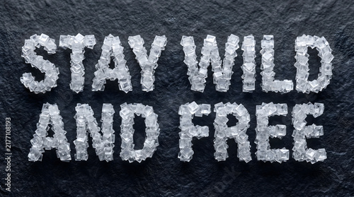 Stay Wild And Free Salt Crystal Text