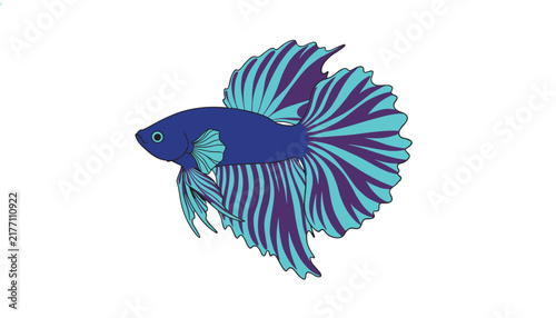Artistic drawing of a Siamese fighting fish featuring deep blue and purple striped fins isolated on a clean, solid white background.