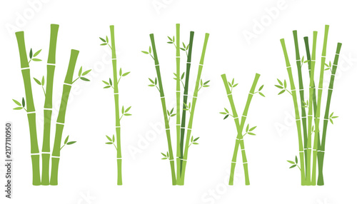 Collection of green bamboo stalks featuring various thicknesses and leaf arrangements isolated against a plain white background for design.