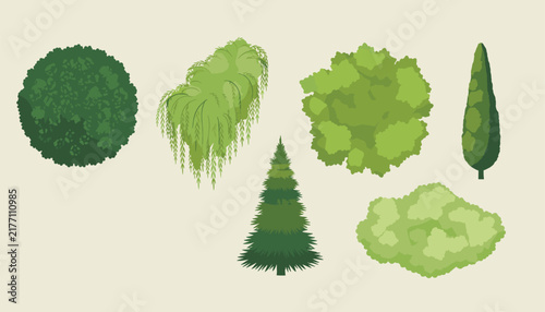 Assortment of diverse tree species viewed from above displayed on a neutral light colored surface for landscaping and design projects.