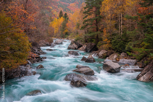 Turquoise Ara river flowing through autumn forest in Ordesa and Monte Perdido National Park Spain