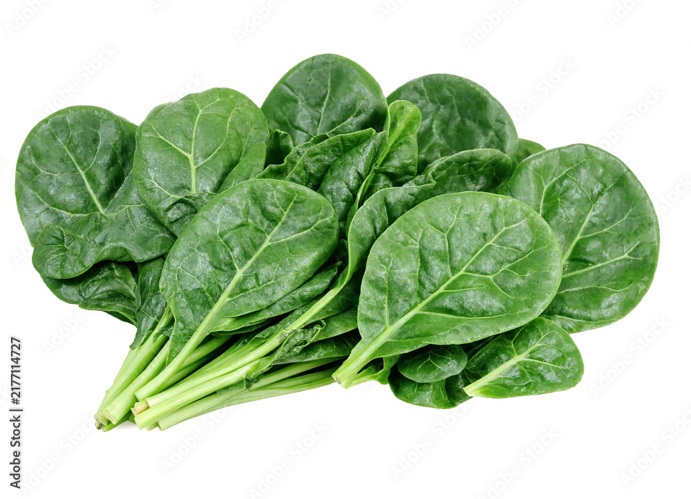 Obraz premium Fresh green spinach leaves on isolated background