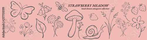 Delicate hand drawn cottagecore collection with strawberries, wildflowers, butterfly, bee, snail and meadow plants. Airy botanical line art set for romantic patterns, branding, packaging, stationery a