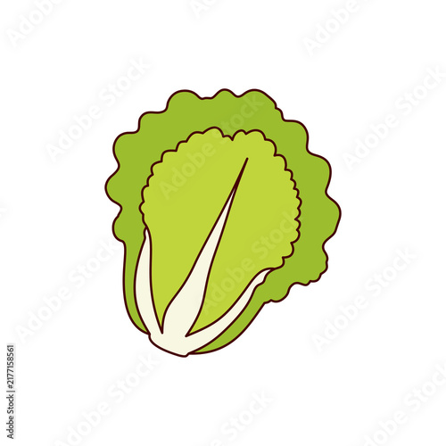vegetables icon