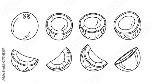 Coconut illustrations in black and white line drawing style