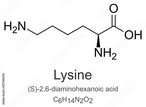 Bild auf Leinwand Lysine Amino Acid Molecule Skeletal Formula Chemical Structure