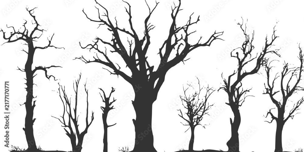 Obraz premium Spooky dark silhouette of a bare forest featuring dead winter trees on white background vector illustration.