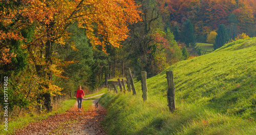 Photography Cheerful woman walks toward the camera with her obedient dog on a country path strewn with autumn leaves