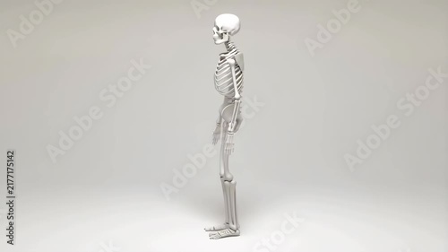 Human Skeleton Rotating from Front to Back in a Minimal White Studio Setting