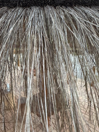 Dry Palm Leaf Fibers Creating a Rustic Natural Texture