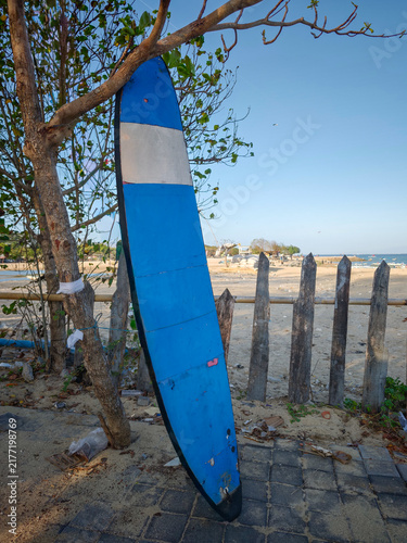 Blue and White Longboard Surfboard Leaning Against Tree Trunk on Tropical Beach