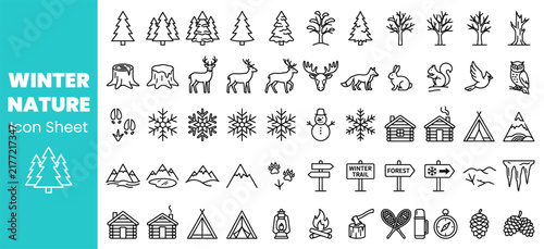Winter Nature Icon Set with Snowflakes and Trees.