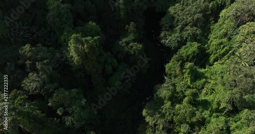 Aerial footage of beautiful tropical forest mountain landscape in the Yalu Zangbu River valley area, Tibet,China