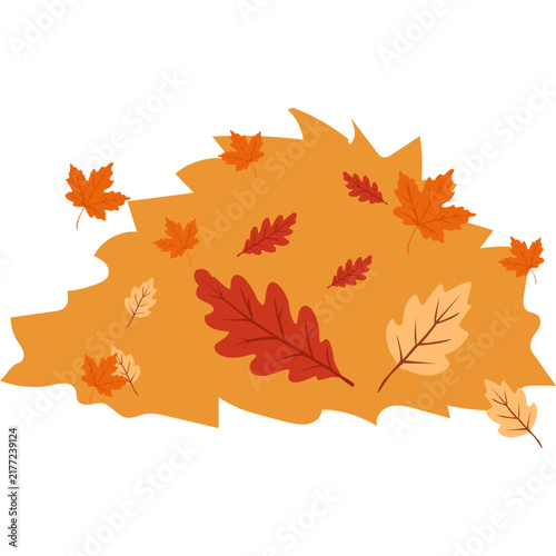 pile of autumn leaves