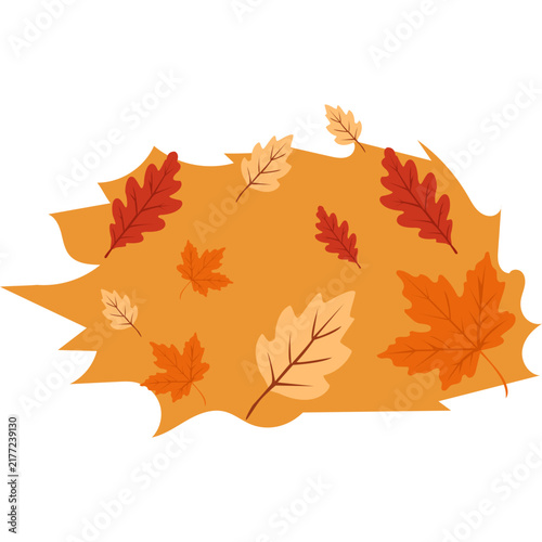 pile of autumn leaves