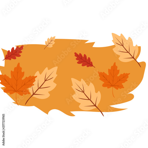 pile of autumn leaves
