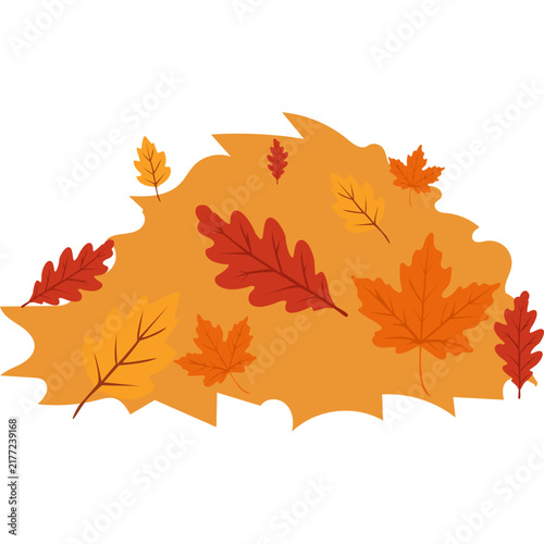 pile of autumn leaves