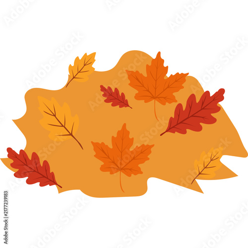 pile of autumn leaves