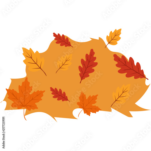 pile of autumn leaves