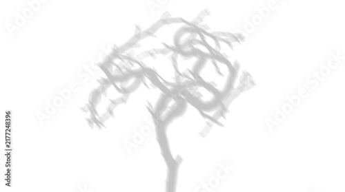 Принти на полотні A blurred shadow of a thorny tree trunk and branches isolated on transparent bac