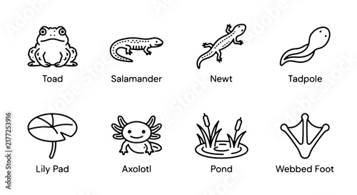 Foto Amphibian and Aquatic Life Icons: Toad, Salamander, Newt, Tadpole, Axolotl, Lily