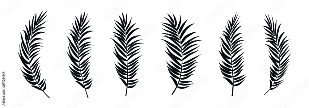 Obraz premium Collection of black palm frond silhouettes on a white background