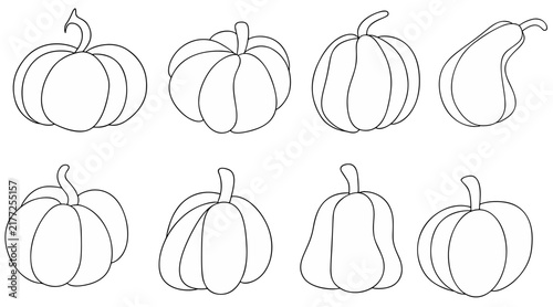 cute pumpkin line art outline collection set autumn gourds vector graphic isolated on transparent background