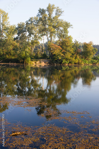Photography Reflection of trees on Dechantlacke lake, Vienna, Austria