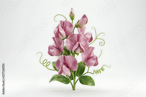 3D Cartoonish Pink Sweet Pea Flower Cluster with Delicate Petals and Textured Green Leaves Isolated on White Background
