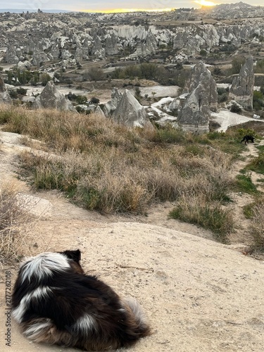 Bild auf Leinwand Cappadocia Fairy Chimney Valley at Sunrise with Stray Dogs Resting on Hillside,