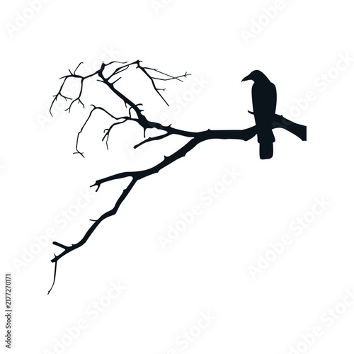 silhouette of a crow perched on a dry tree logo vector