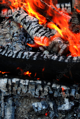 Wood Logs Covered with Ashes Burns in Fire 

