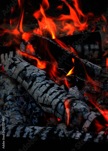 Burning Wood Logs with Bright Red Flame Effects

