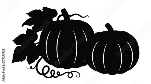 Engraved Style Sketch of Autumn Pumpkins Isolated on White Background