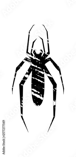 Foto Spider halloween icon, spooky cartoon black widow spider isolated