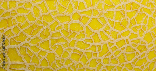 Fotografie Close up full frame shot of yellow melon skin background texture, abstract net p