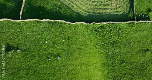Top down shot of green pastures in Yorkshire Dales